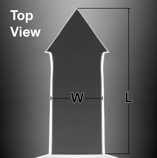 Top view SEM image of ARROW™ AFM cantilever