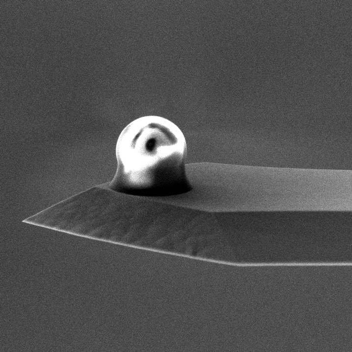 SEM image of sQube® Colloidal AFM Probe CP-FM-PM-D