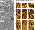 Piezoresponse Force Microscopy with our ElectriMulti75-G AFM probes