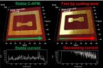 The image shows two C-AFM scans on a partially processed semiconductor device with BudgetSensors® ElectriCont-G