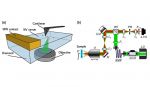 Combined confocal microscopy and atomic force microscopy with BudgetSensors ElectriCont-G and MagneticMulti75-G AFM probes