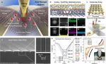 Programmable flexoelectric engineering platform for nanoconfined conductive filaments