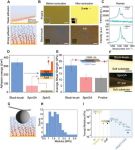 Surface-Grafted Biocompatible Polymer Conductors for Stable and Compliant Electrodes for Brain Interfaces