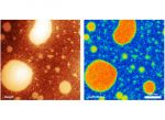 An image of an OSC-elastomer blend, acquired with MikroMasch® SelfAdjust-Air probes An image of an OSC-elastomer blend, acquired with MikroMasch® SelfAdjust-Air probes